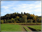 foto Paesaggi Autunnali tra le colline Fontesi